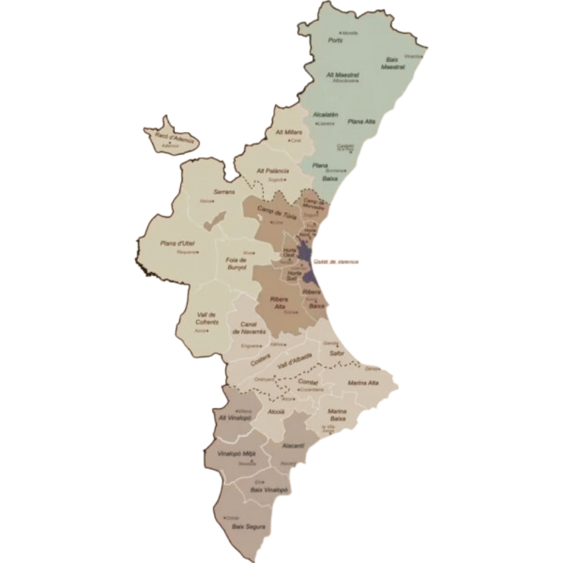 Seguro Decenal Valencia
