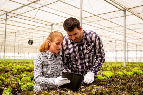 Seguro de responsabilidad civil para ingenieros agrónomos seguro de responsabilidad civil para ingenieros agronomos