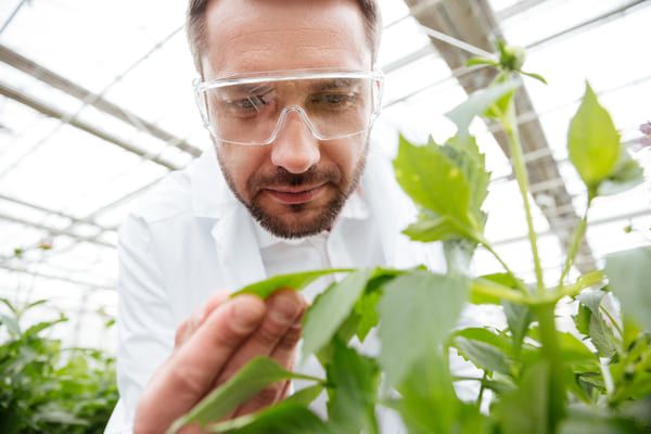 seguro de responsabilidad civil para ingenieros agrónomos