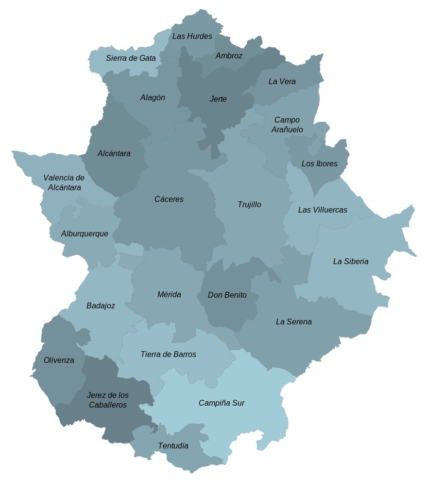 Seguro Decenal Murcia