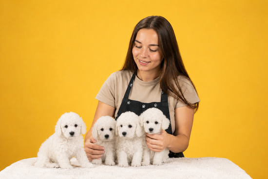 Seguro Responsabilidad Civil Criadores de Perros