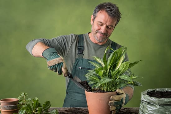 Seguro de Responsabilidad Civil Jardineros Seguro Responsabilidad Civil Jardineros